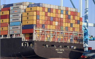 哈薩克斯坦豬肉與越南管材有望進(jìn)入中國市場(chǎng)，區(qū)域經(jīng)貿(mào)合作迎新機(jī)遇