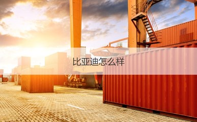 南寧比亞迪薪資與計算機崗位待遇解析及管材行業對比