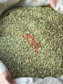 新疆烏魯木齊榮鵬調料批發商行 跨界融合，從調料到礦產與化工制品的多元發展之路